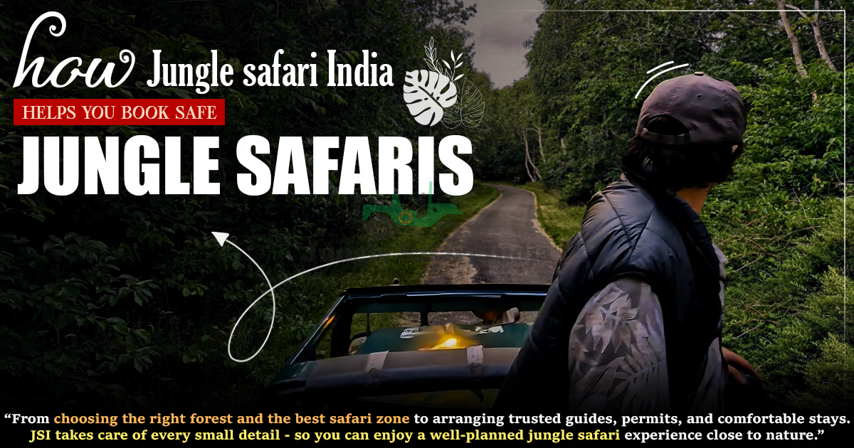 How JSI Helps You Book Safe Jungle Safaris