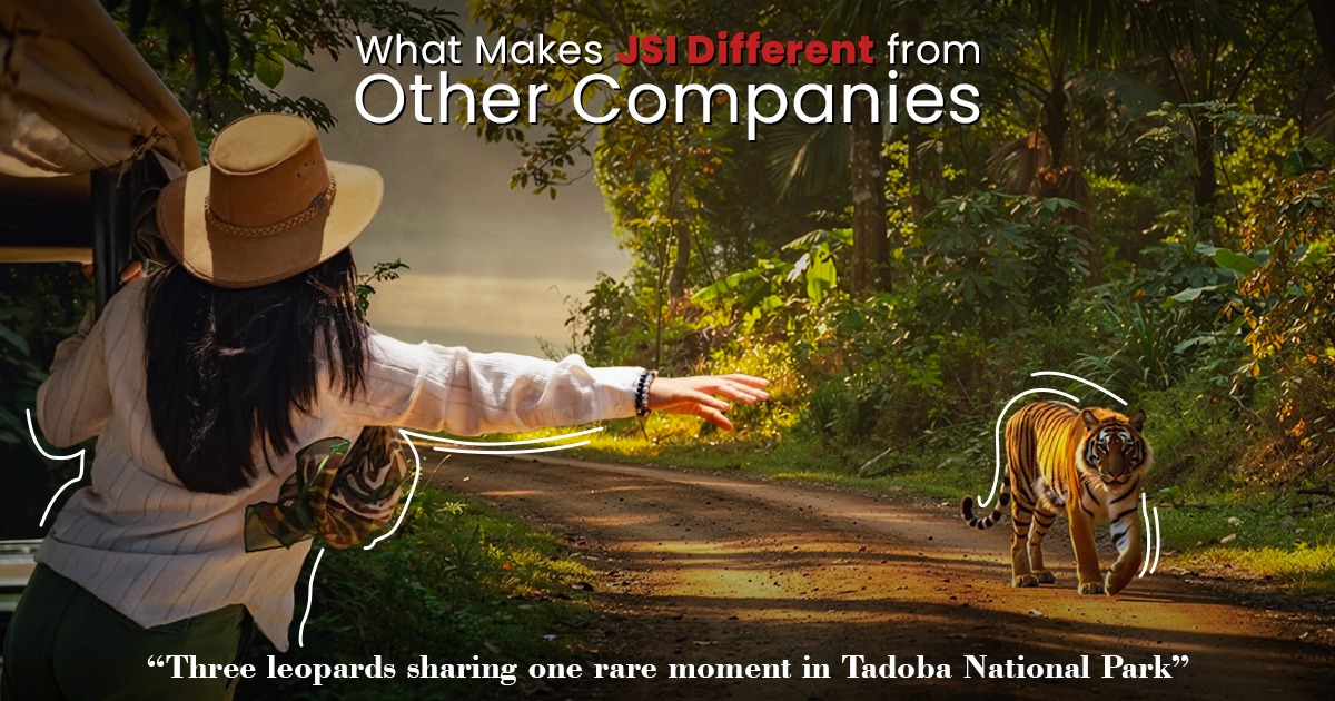What Makes JSI Different From Other Companies