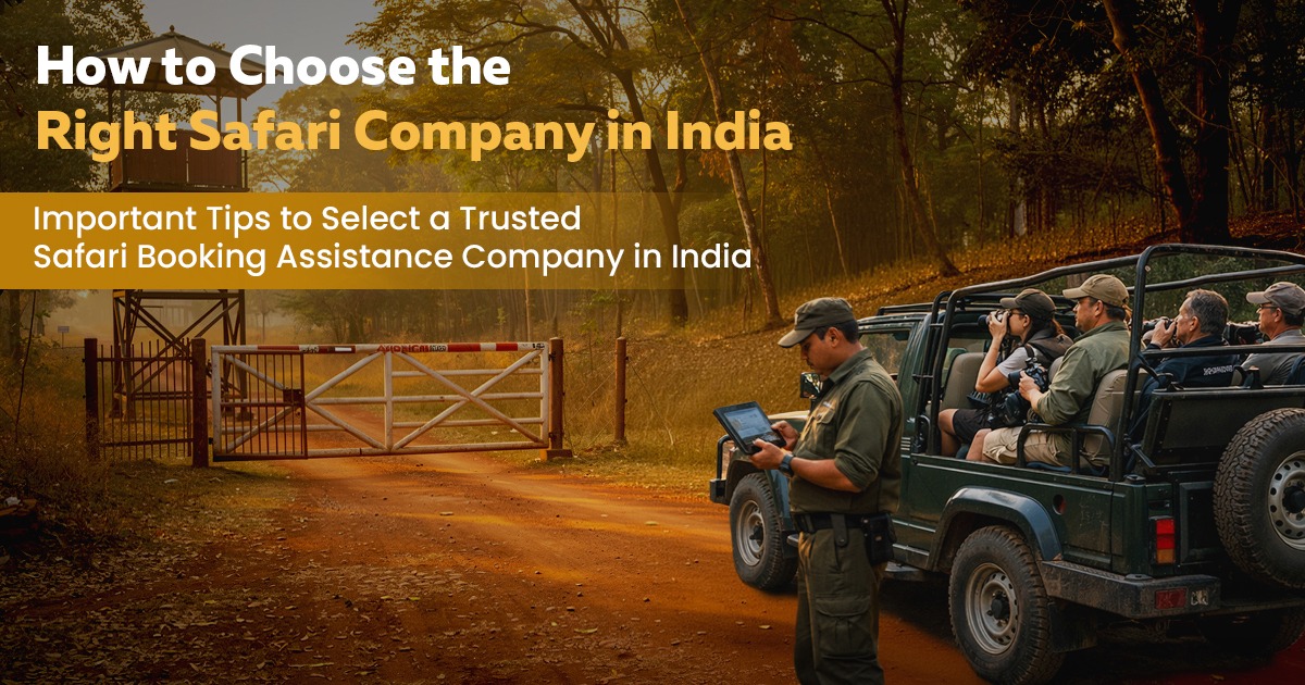How To Choose The Right Safari Company In India