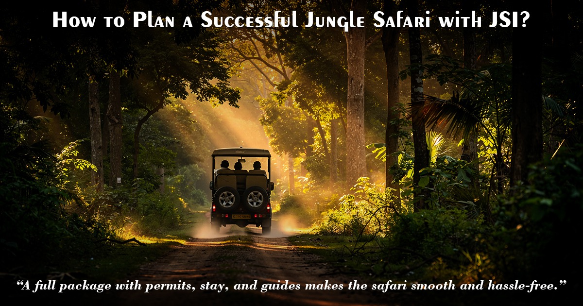 How To Plan A Successful Jungle Safari With JSI