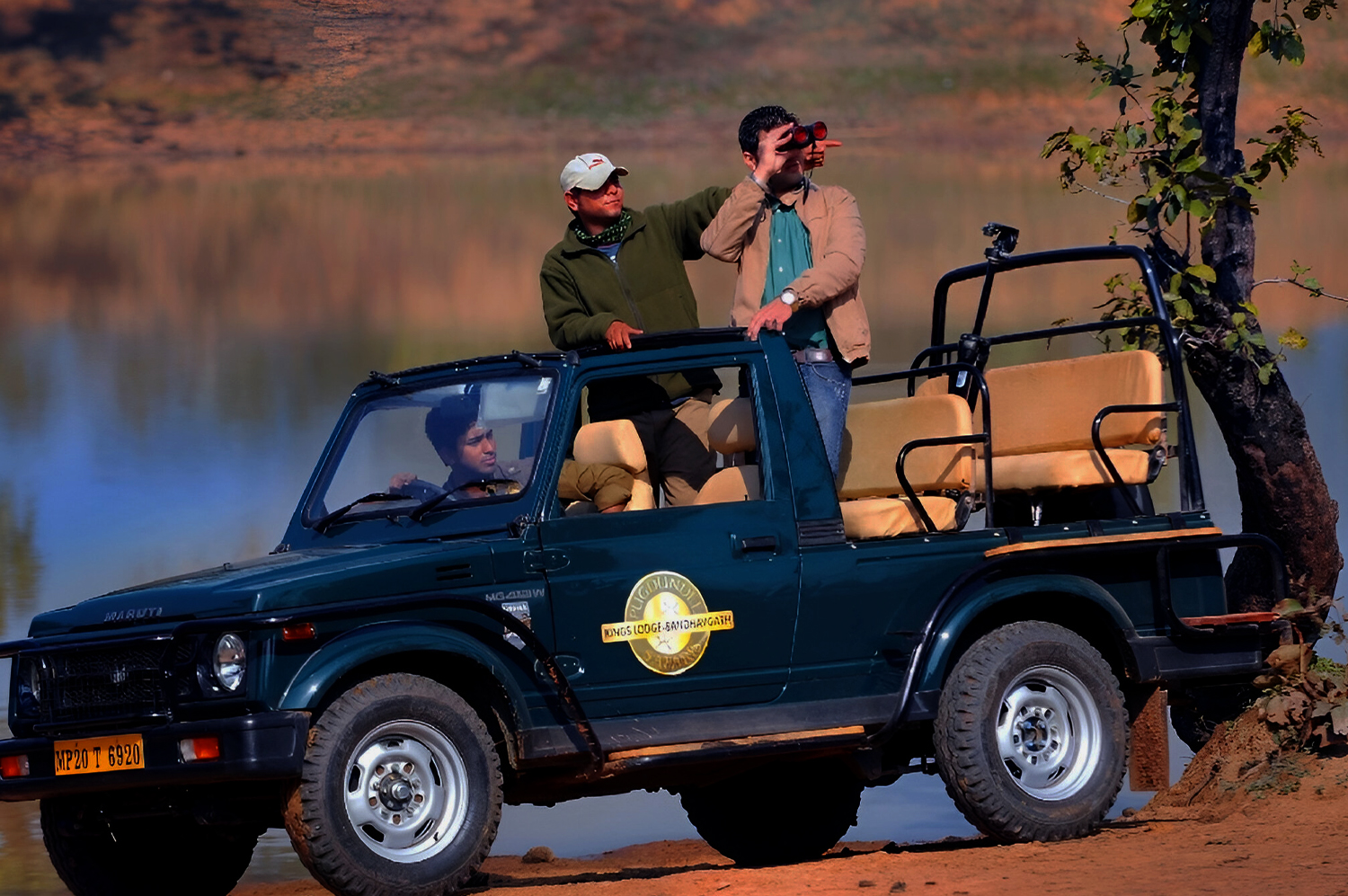 Types of Safari