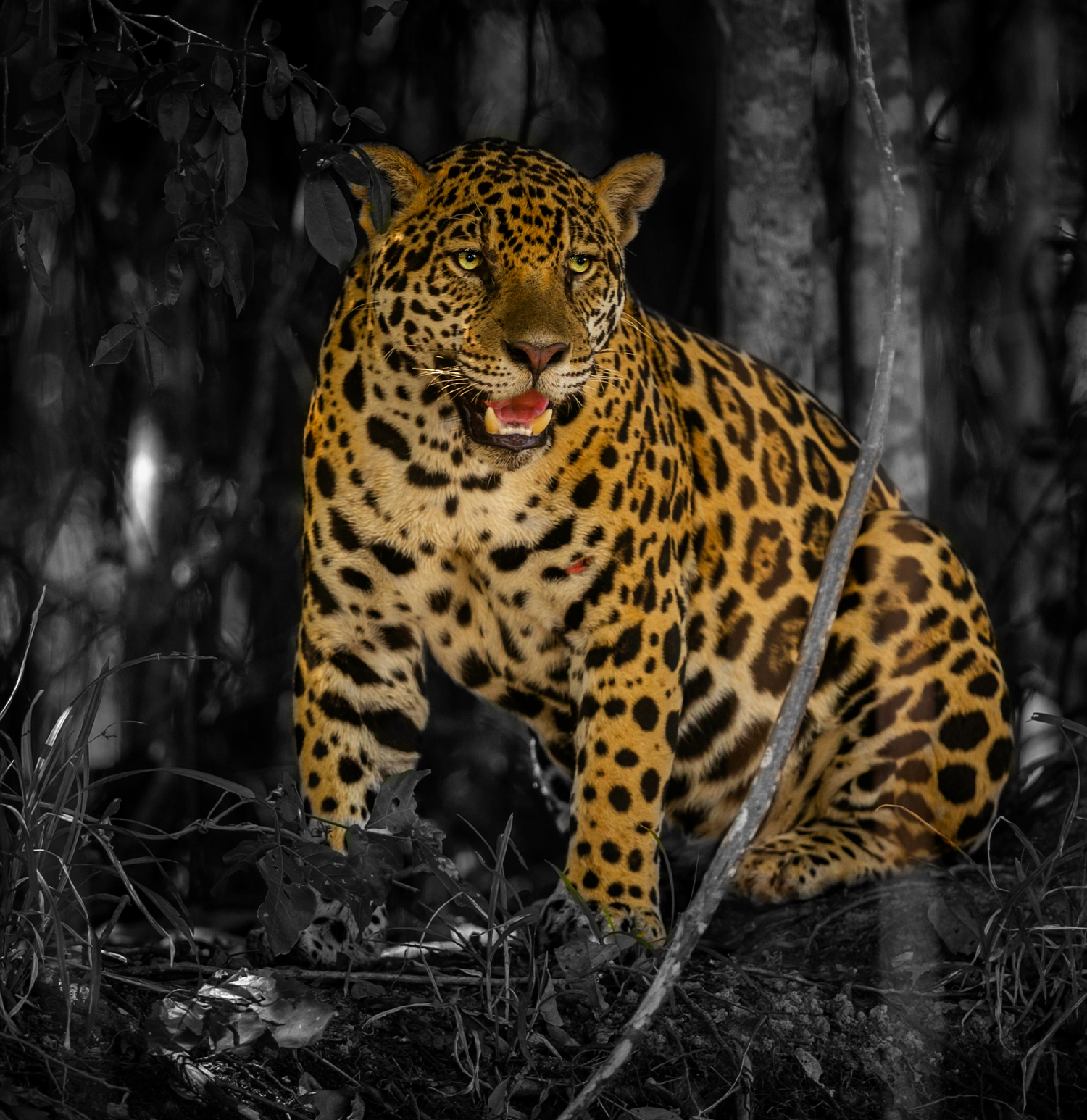 Sariska National Park