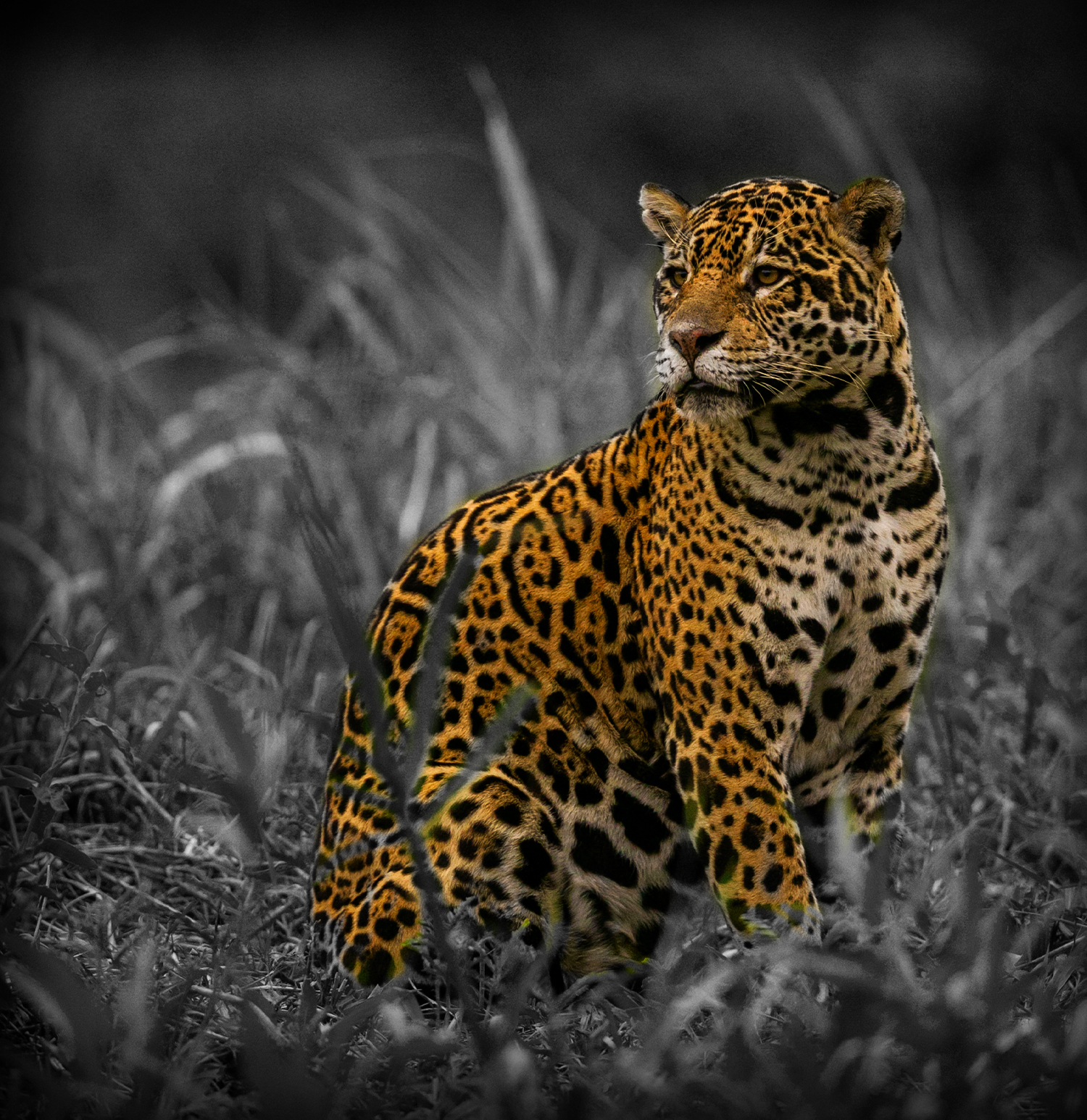 Sariska National Park