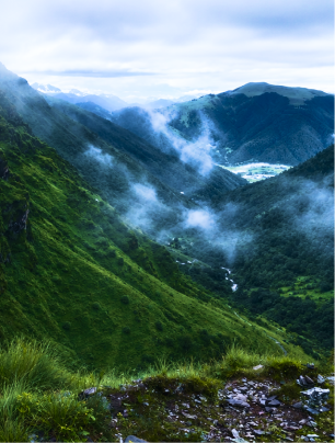 nature